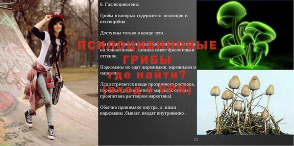 МДПВ Пролетарск