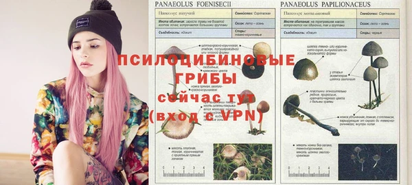 гидропоника Протвино