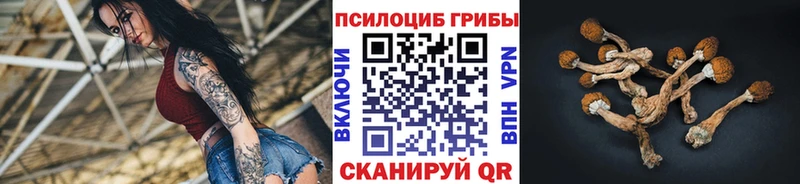 Псилоцибиновые грибы мицелий  Купить где  Назарово 